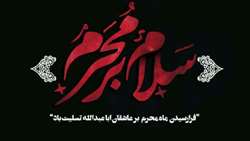 اَلسَّلامُ عَلَیْکَ یا اَباعَبْدِاللَّهِ وَ عَلَى الاَْرْواحِ الَّتى حَلَّتْ بِفِناَّئِکَ